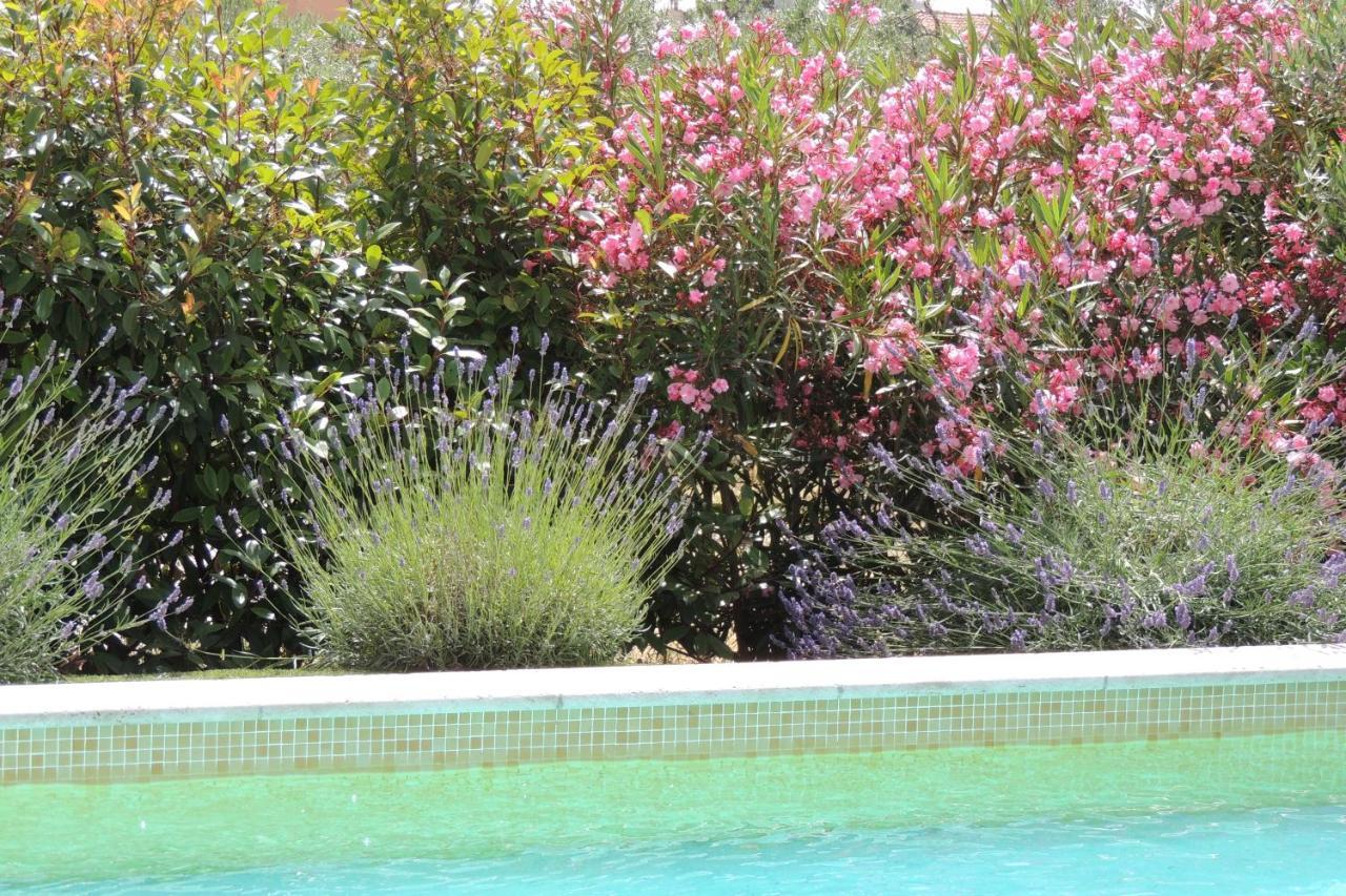 Villa Des Cigales Beaucaire  Zewnętrze zdjęcie