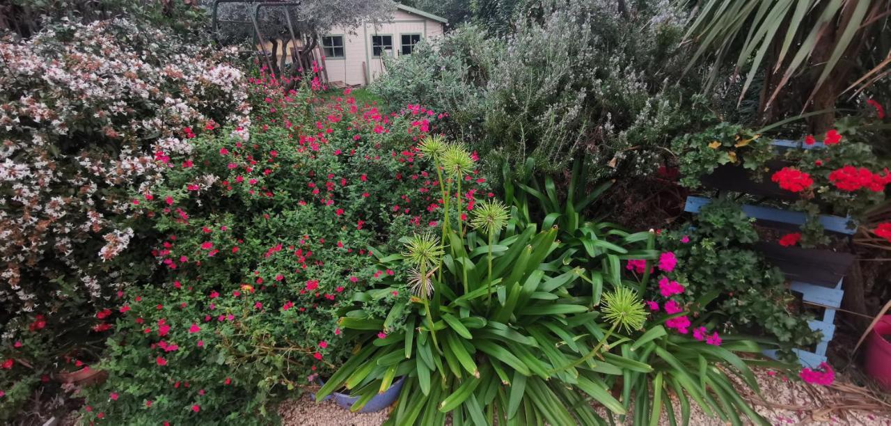 Villa Des Cigales Beaucaire  Zewnętrze zdjęcie